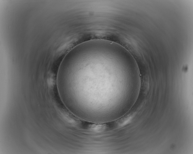 X0000092000135200709061447