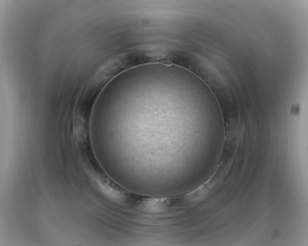 X0000092000136200709061447