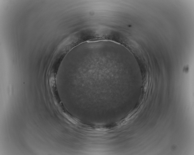 X0000092000137200709061447