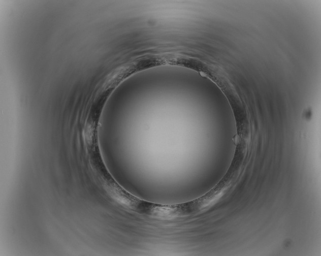 X0000092000139200709061447