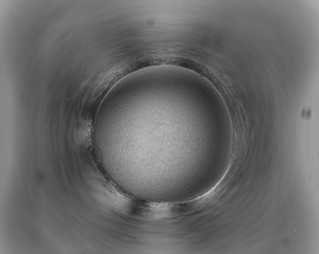 X0000092000144200709061447