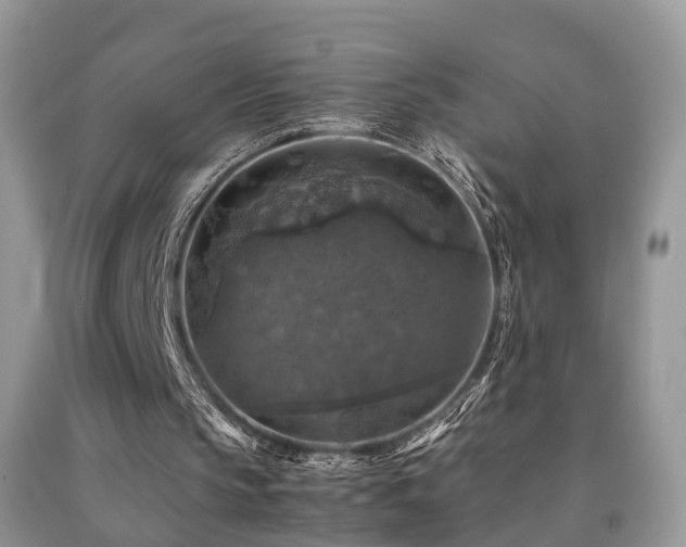 X0000092000145200709061446