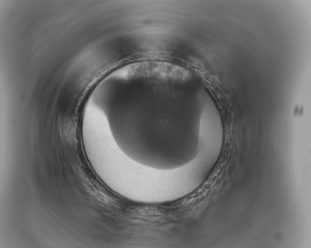 X0000092000146200709061446