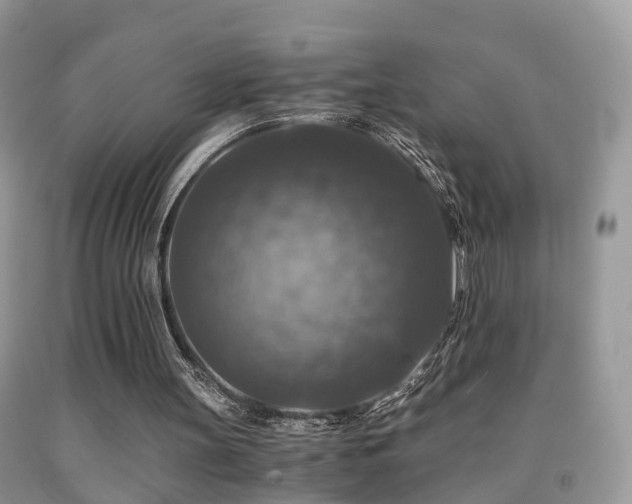 X0000092000147200709061446