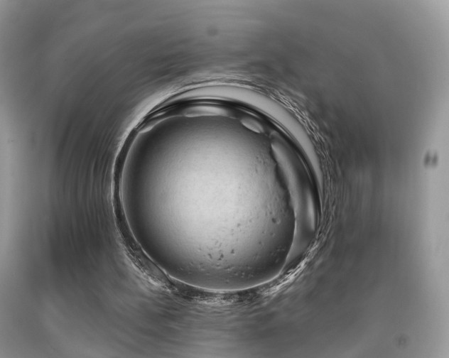 X0000092000148200709061446