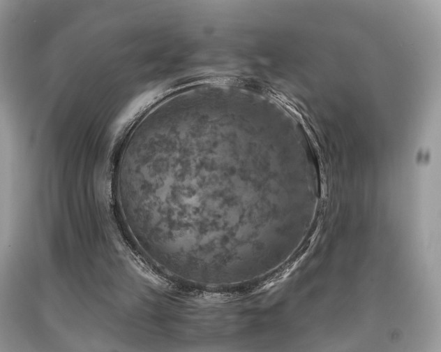 X0000092000149200709061446