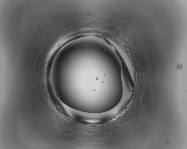 X0000092000150200709061446