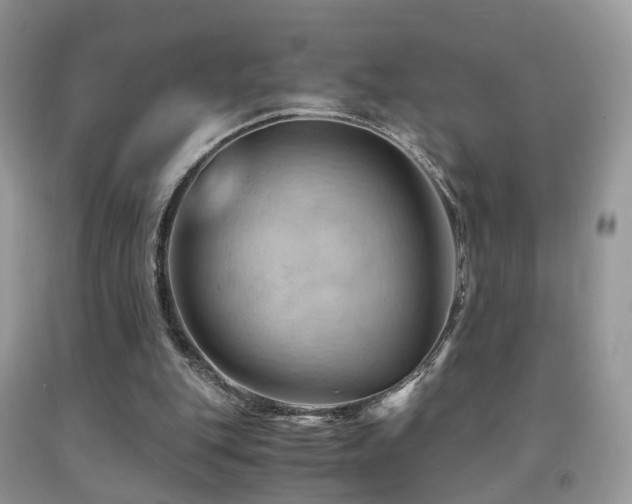 X0000092000151200709061446