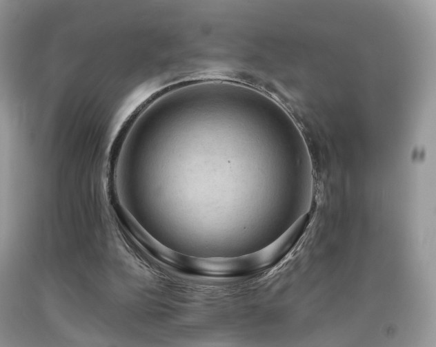 X0000092000152200709061446