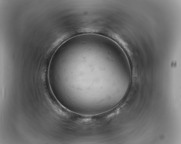 X0000092000153200709061446