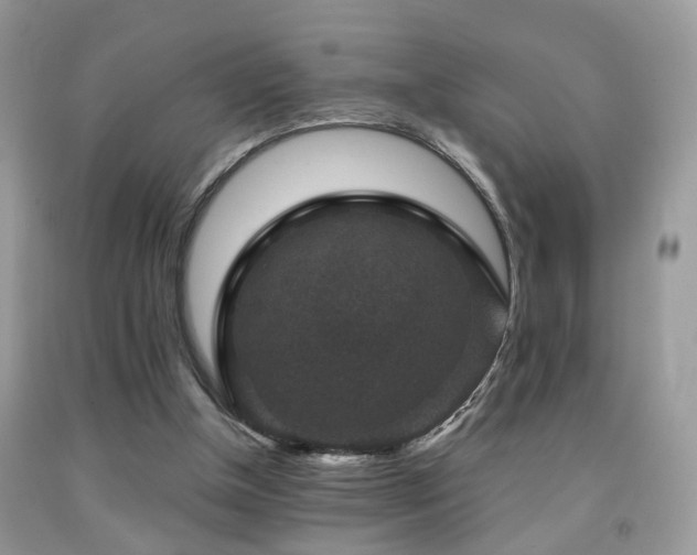 X0000092000154200709061446