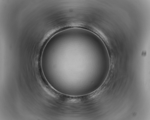 X0000092000155200709061446