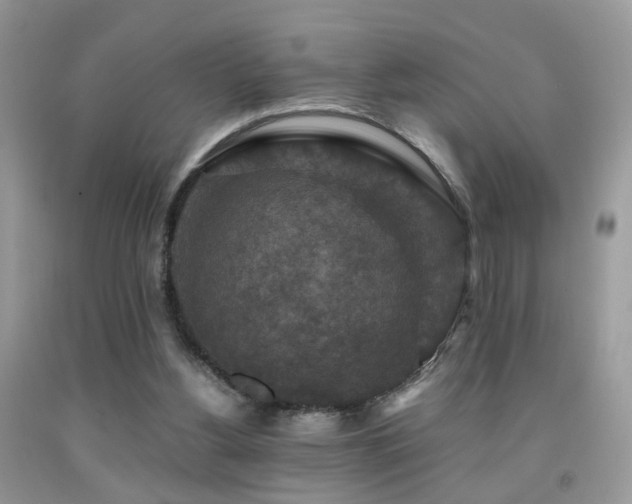 X0000092000156200709061446