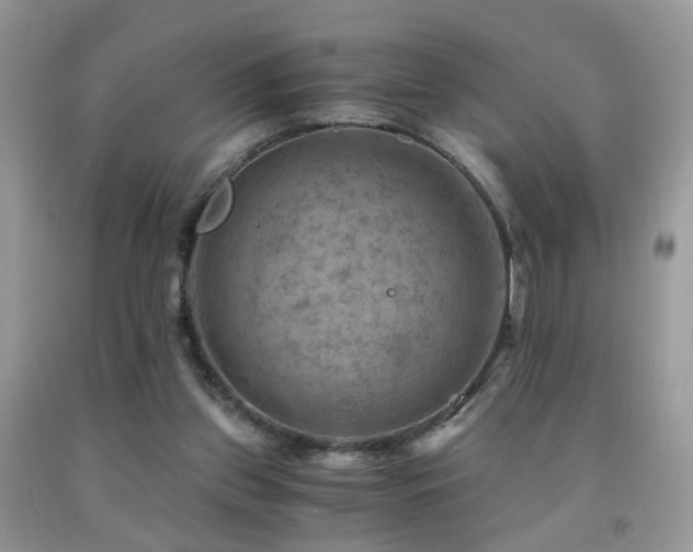 X0000092000157200709061446