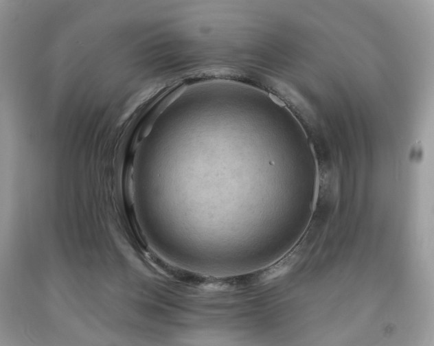 X0000092000158200709061446