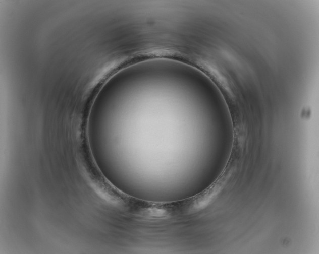 X0000092000159200709061446