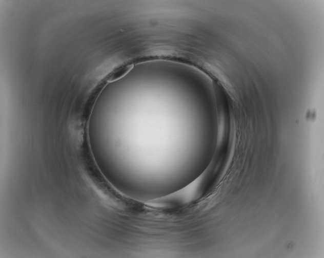 X0000092000160200709061446