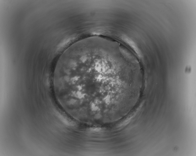 X0000092000161200709061446