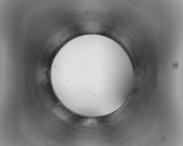 X0000092000162200709061446