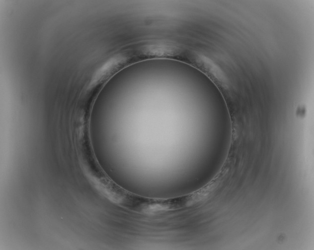 X0000092000163200709061446