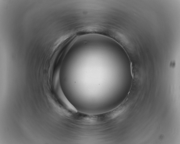 X0000092000164200709061446