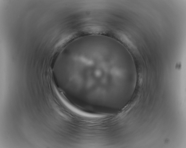 X0000092000165200709061446