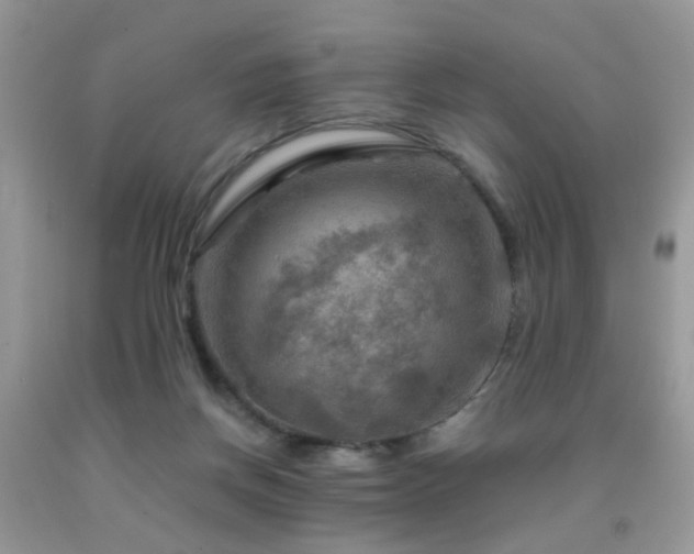 X0000092000166200709061446