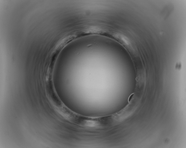 X0000092000167200709061446