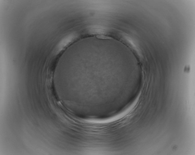 X0000092000168200709061446