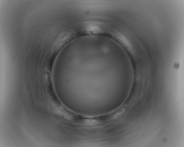 X0000092000169200709061446