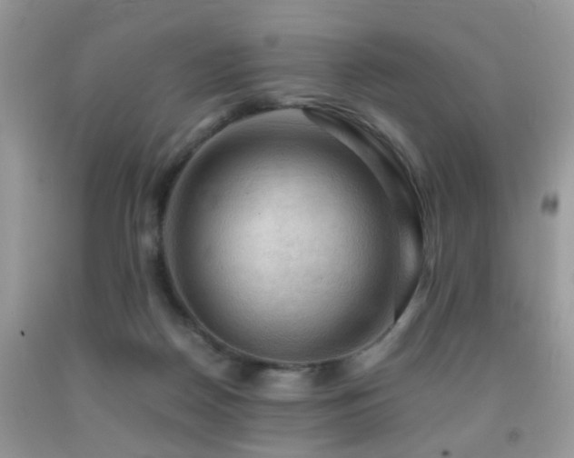 X0000092000170200709061446