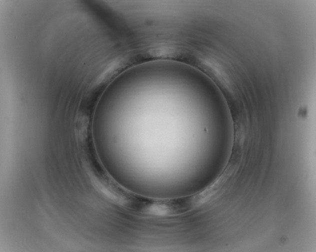 X0000092000171200709061446