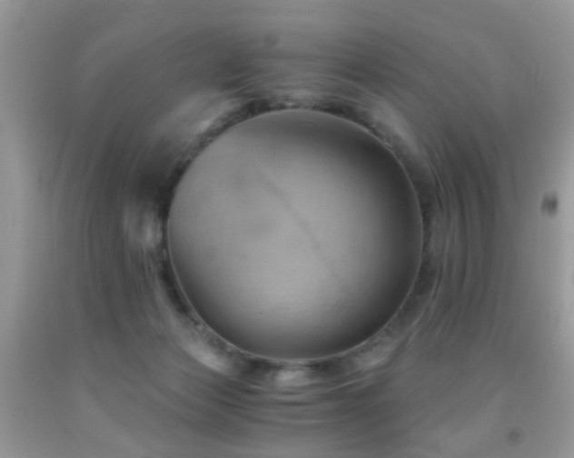 X0000092000173200709061446