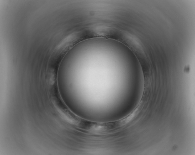 X0000092000174200709061447