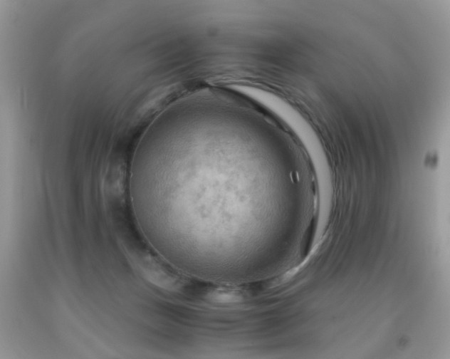 X0000092000175200709061447