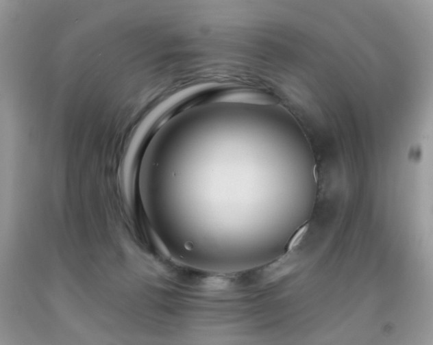 X0000092000176200709061447