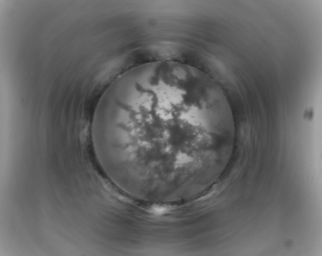 X0000092000177200709061447