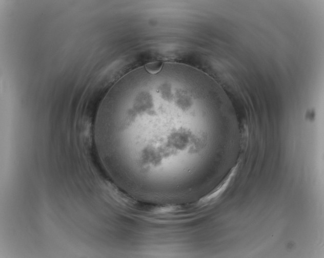 X0000092000178200709061447