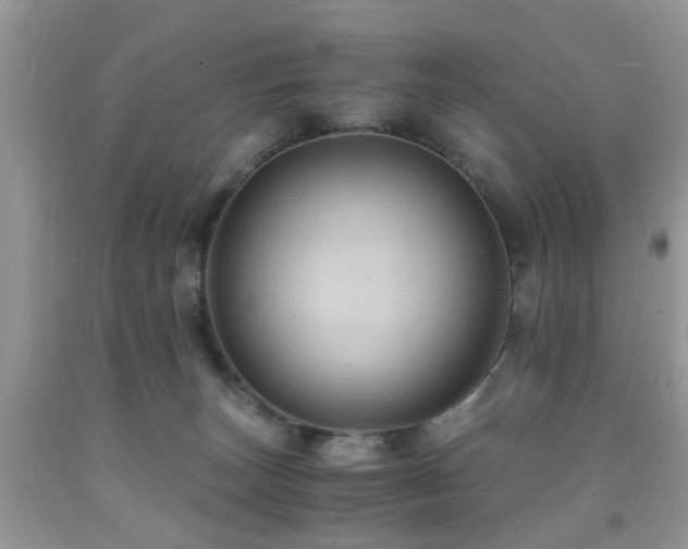 X0000092000179200709061447