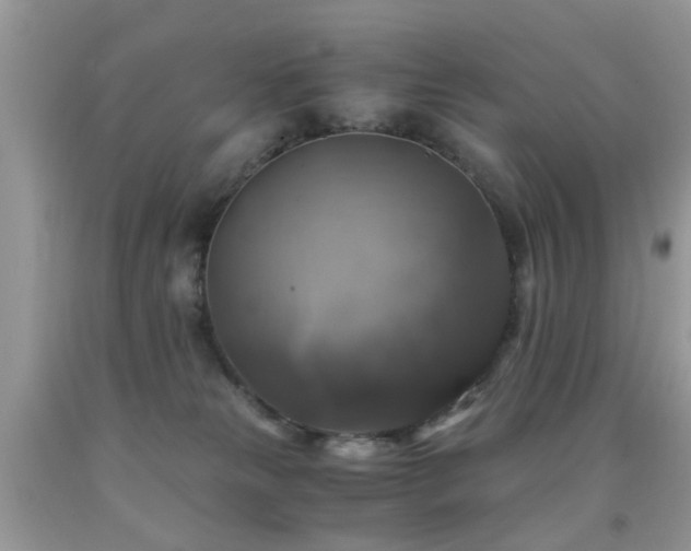 X0000092000181200709061447