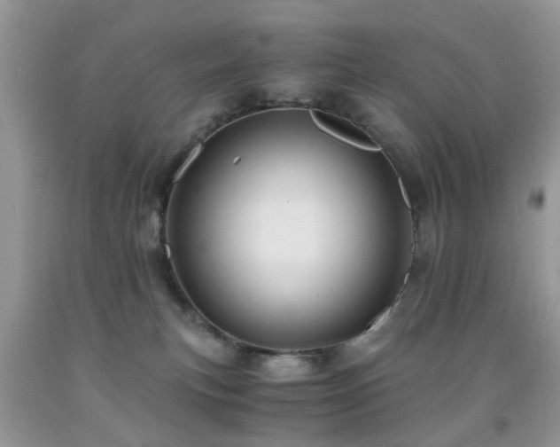 X0000092000183200709061447