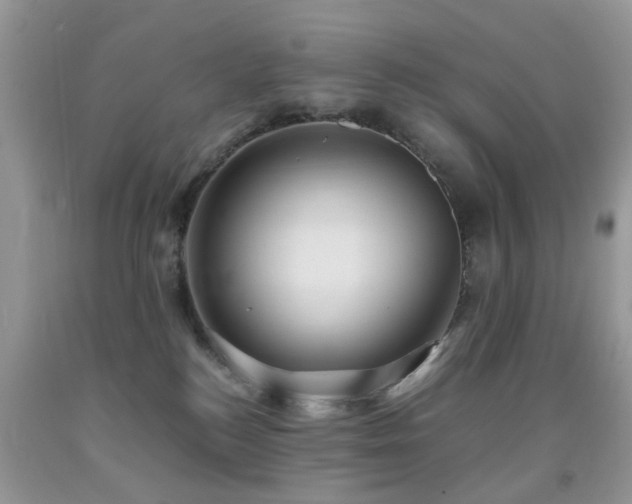 X0000092000184200709061447