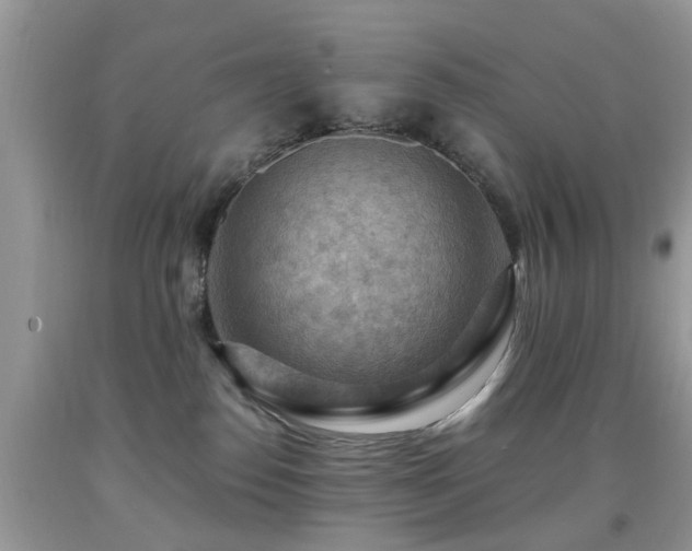 X0000092000186200709061447