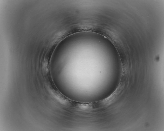 X0000092000187200709061447