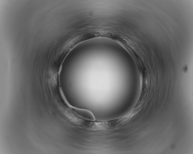 X0000092000188200709061447