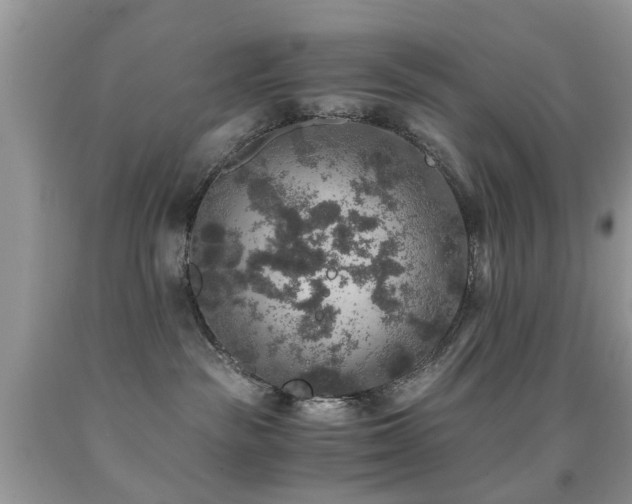 X0000092000189200709061447