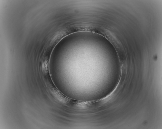 X0000092000190200709061447