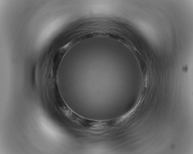 X0000092000191200709061447