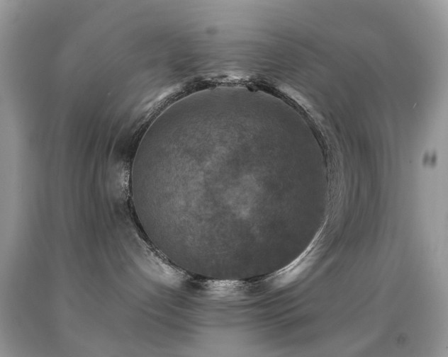 X0000092000192200709061447