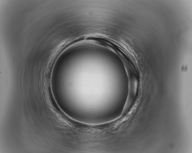 X0000092000193200709061446